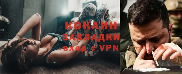 ешки Няндома