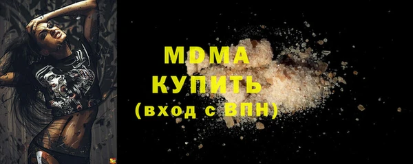 индика Нягань