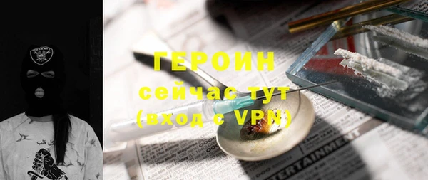 индика Нягань