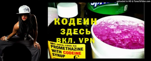 индика Нягань