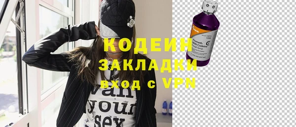 индика Нягань