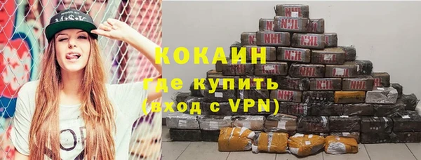 индика Нягань