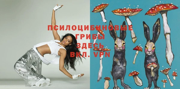 спиды Осинники
