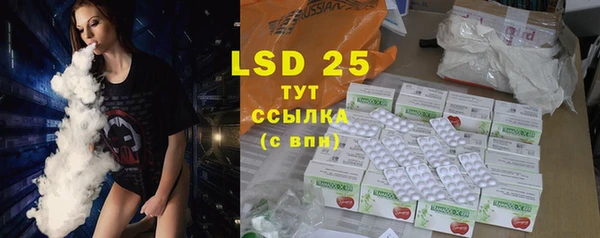 индика Нягань