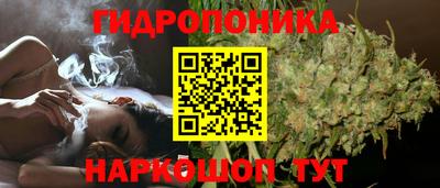 ПСИЛОЦИБИНОВЫЕ ГРИБЫ Гусиноозёрск