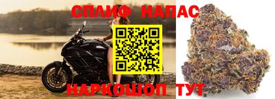каннабис Краснодар